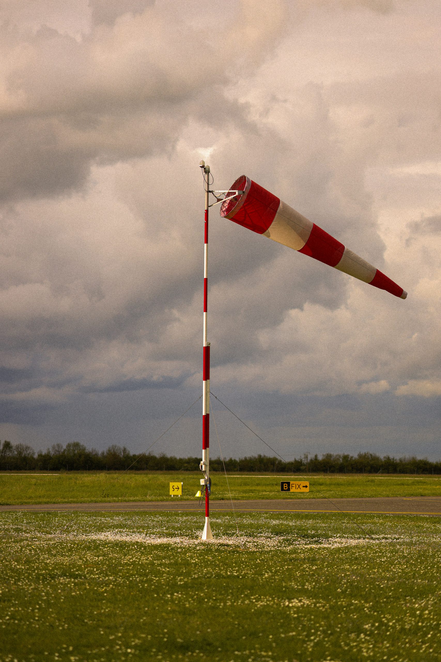 Ancients Studio Spring Summer 23 Campaign