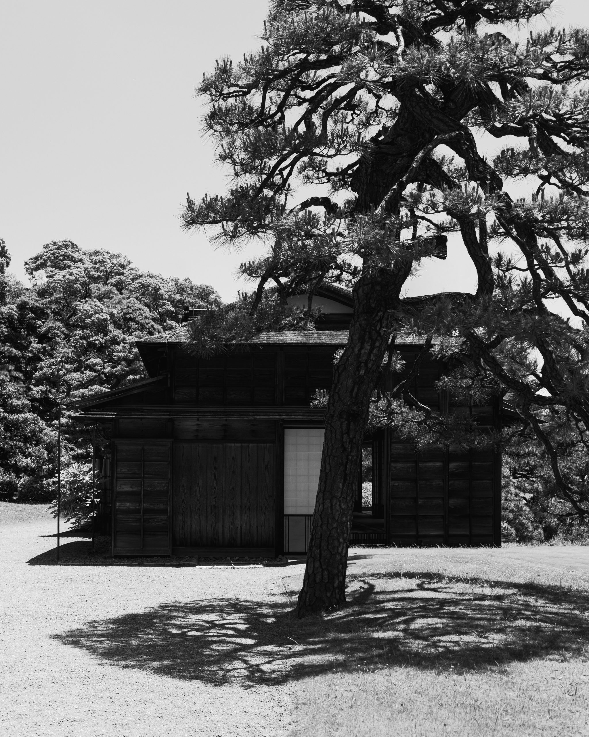 BEDjwFORD-18