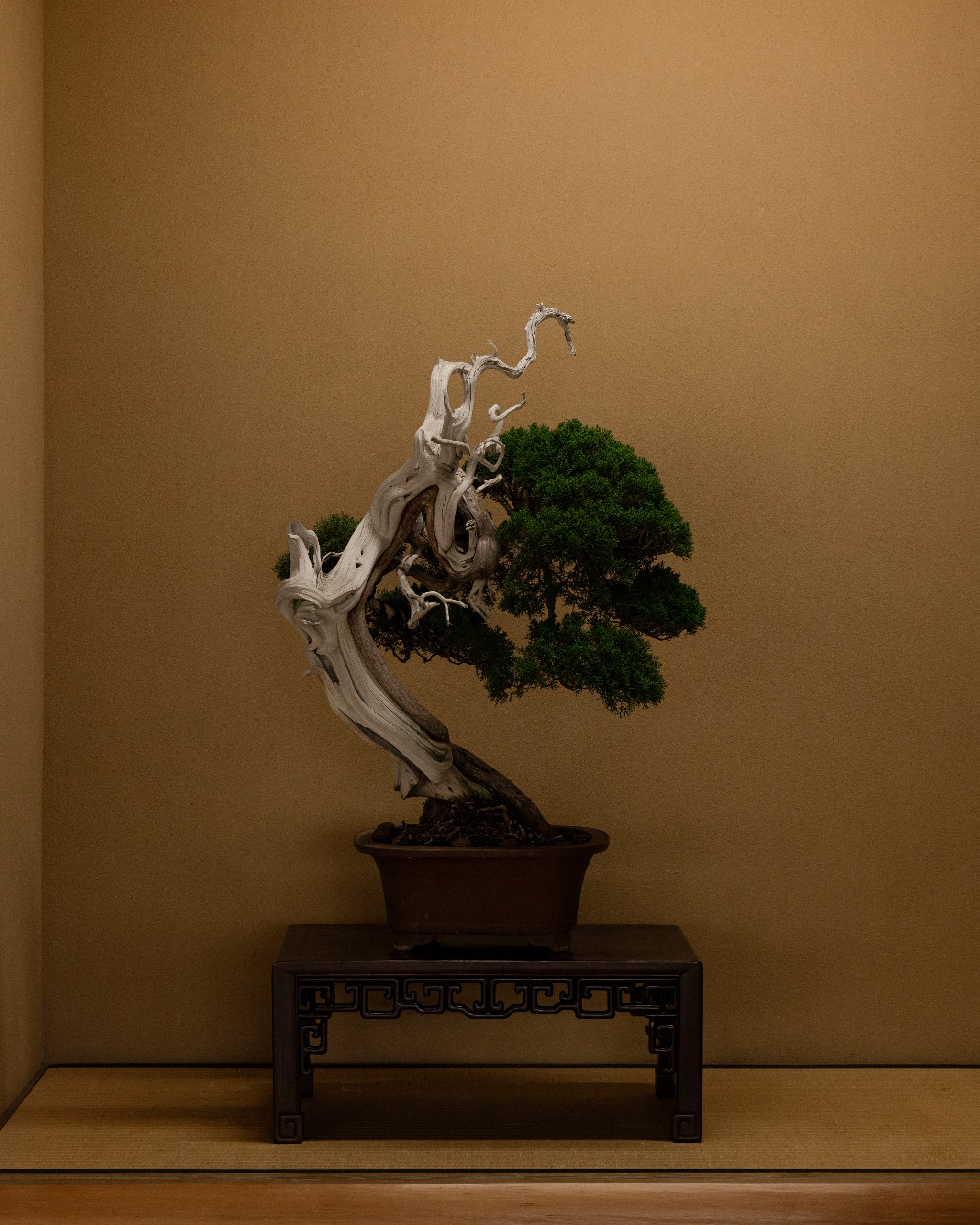 shunkaen-bonsai-museum-19