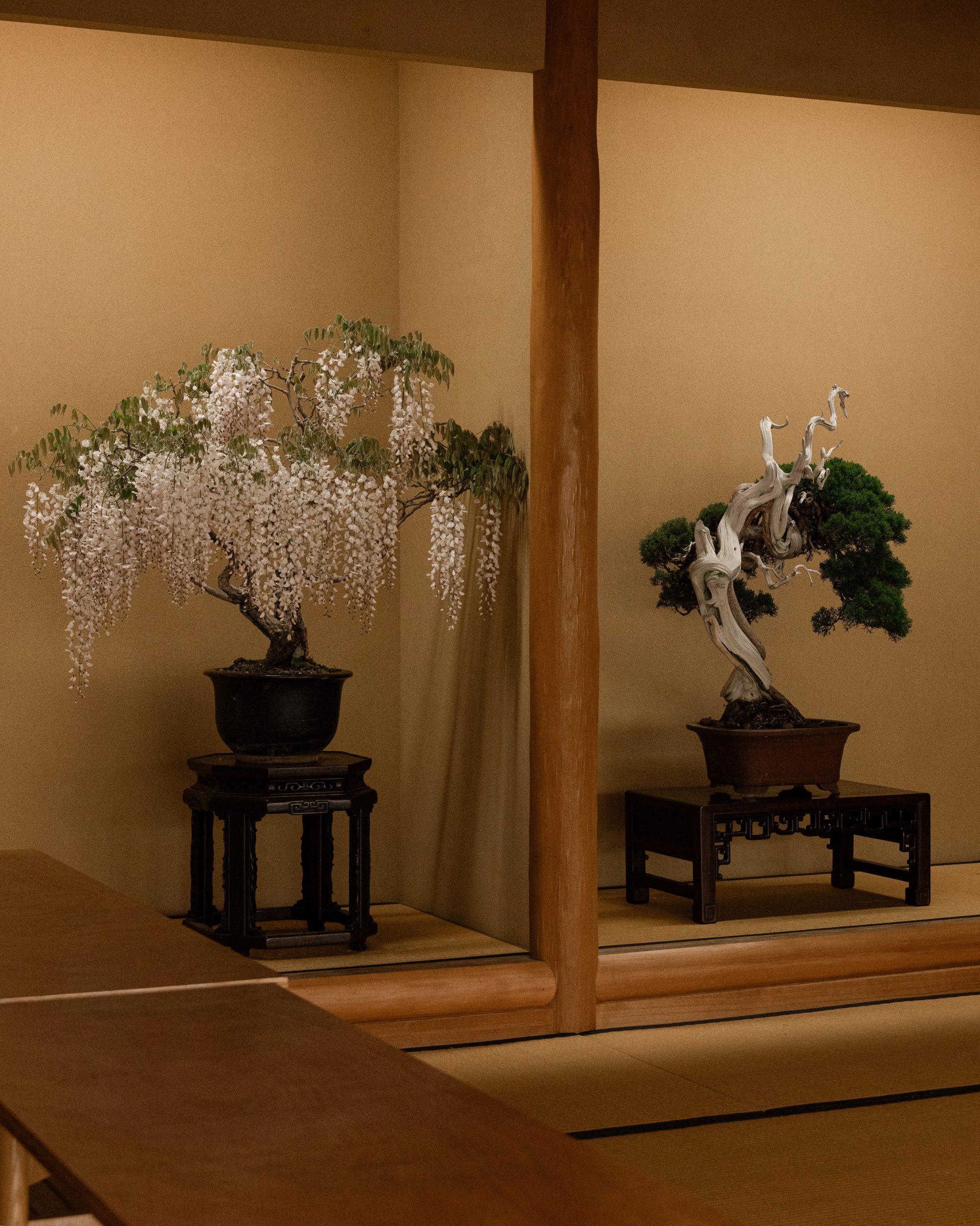shunkaen-bonsai-museum-20