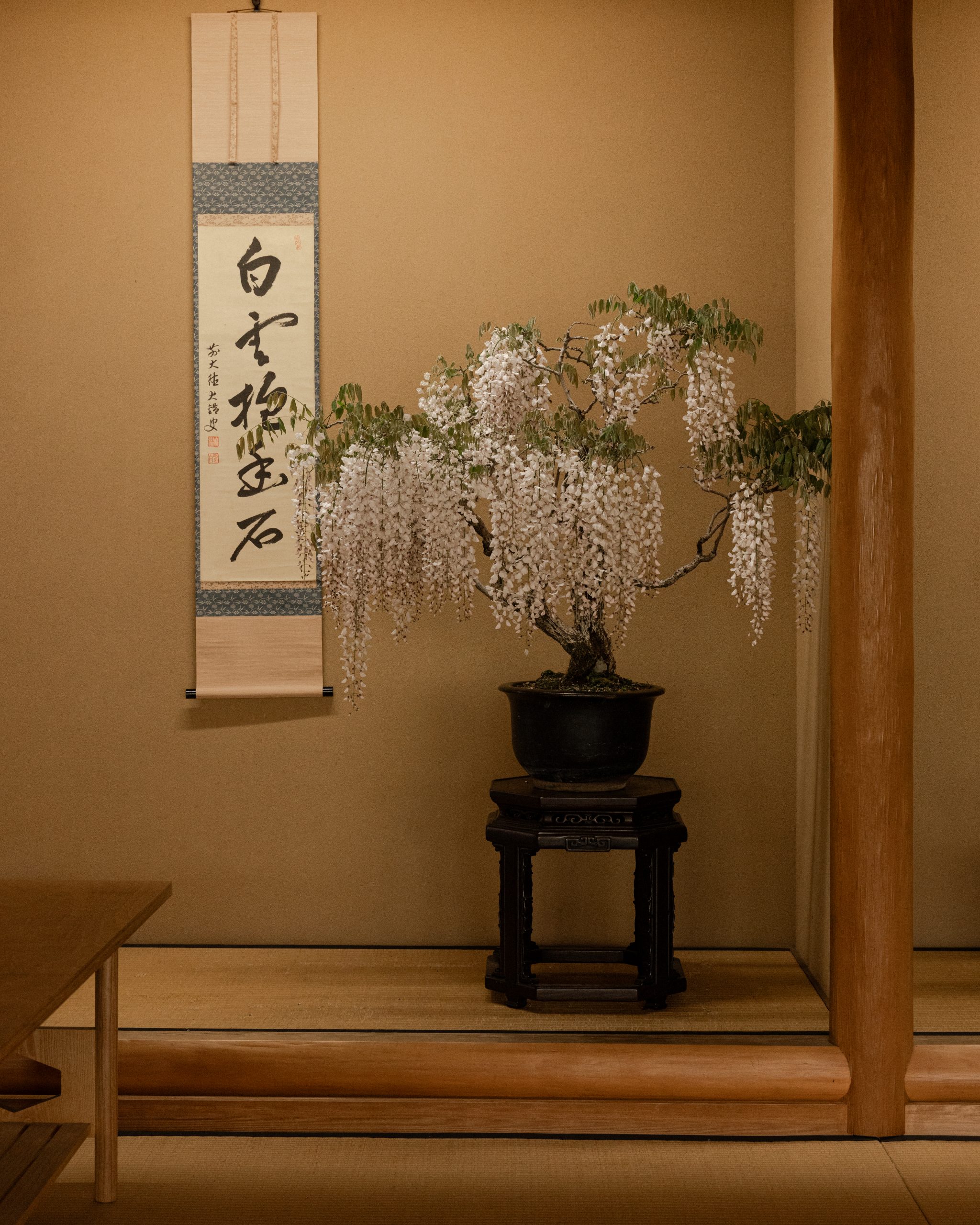 shunkaen-bonsai-museum-21
