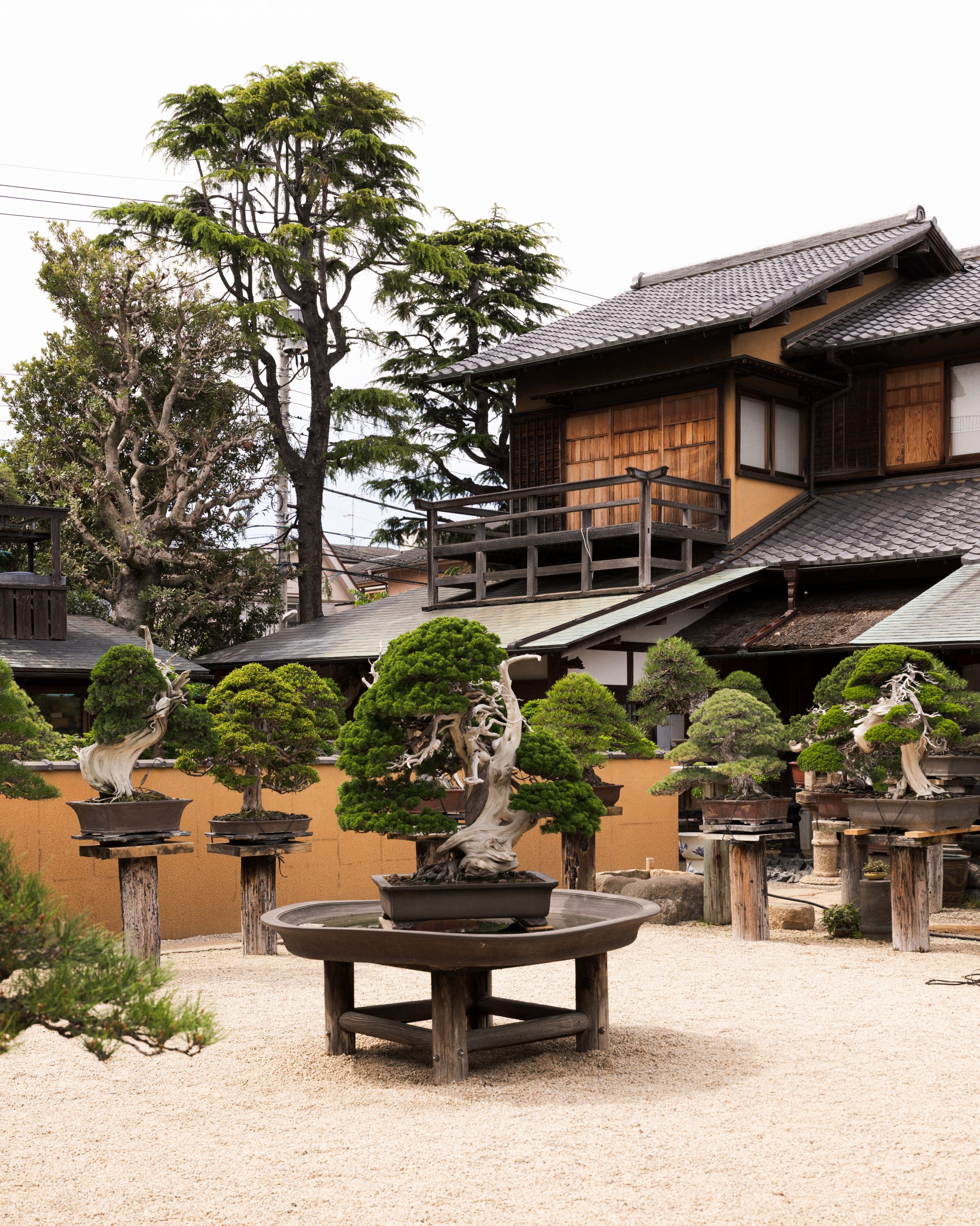shunkaen-bonsai-museum-26