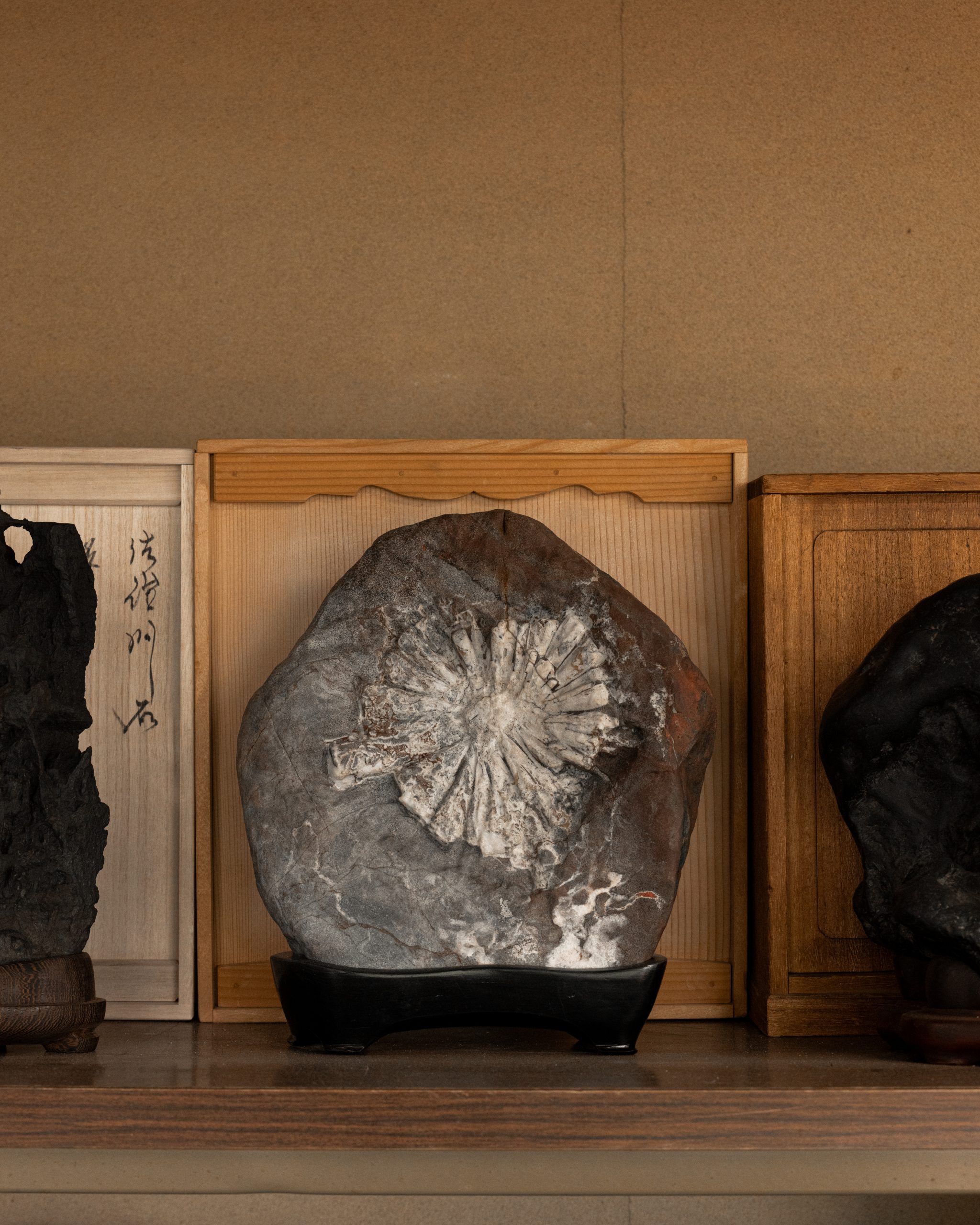 shunkaen-bonsai-museum-3