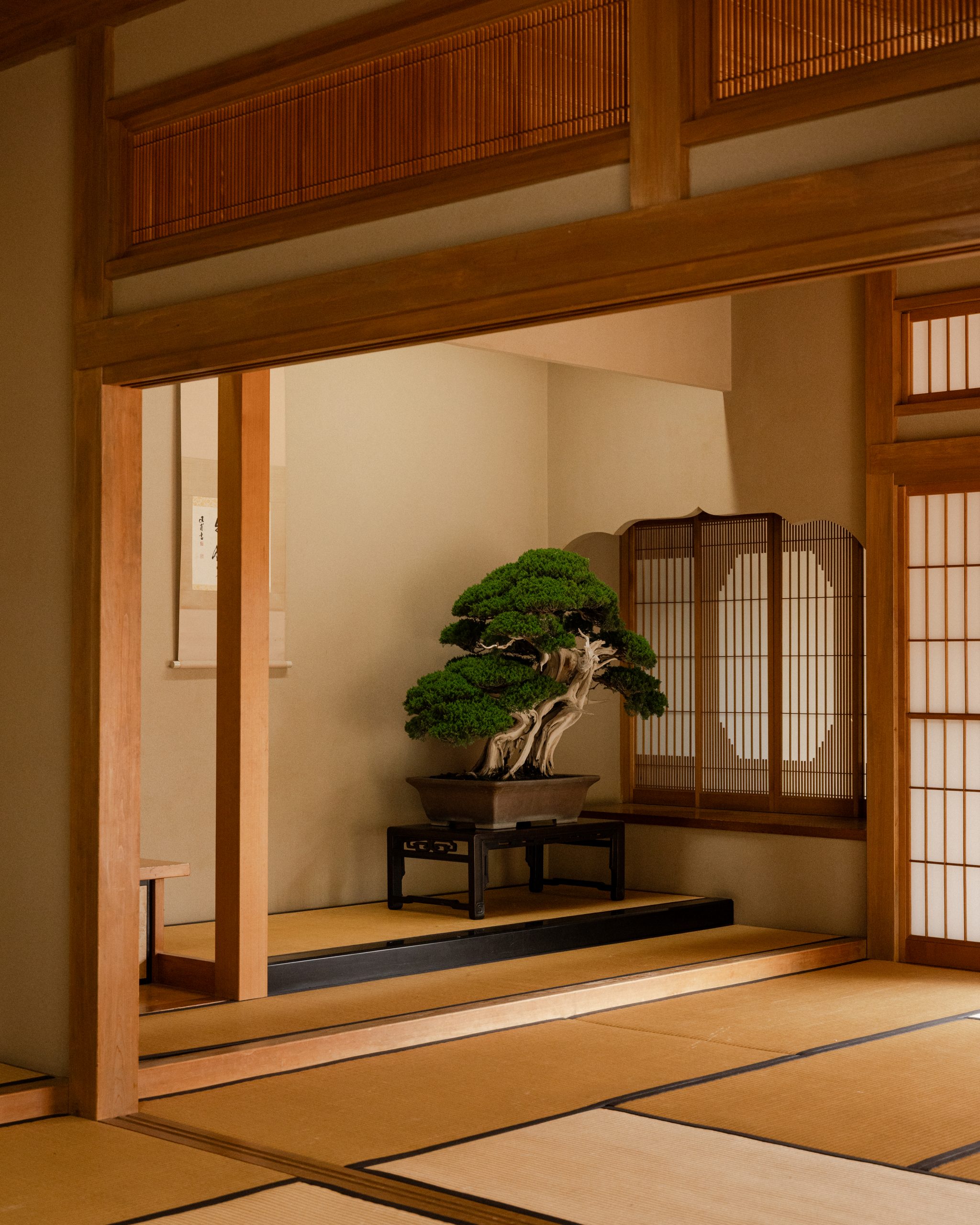 shunkaen-bonsai-museum-7