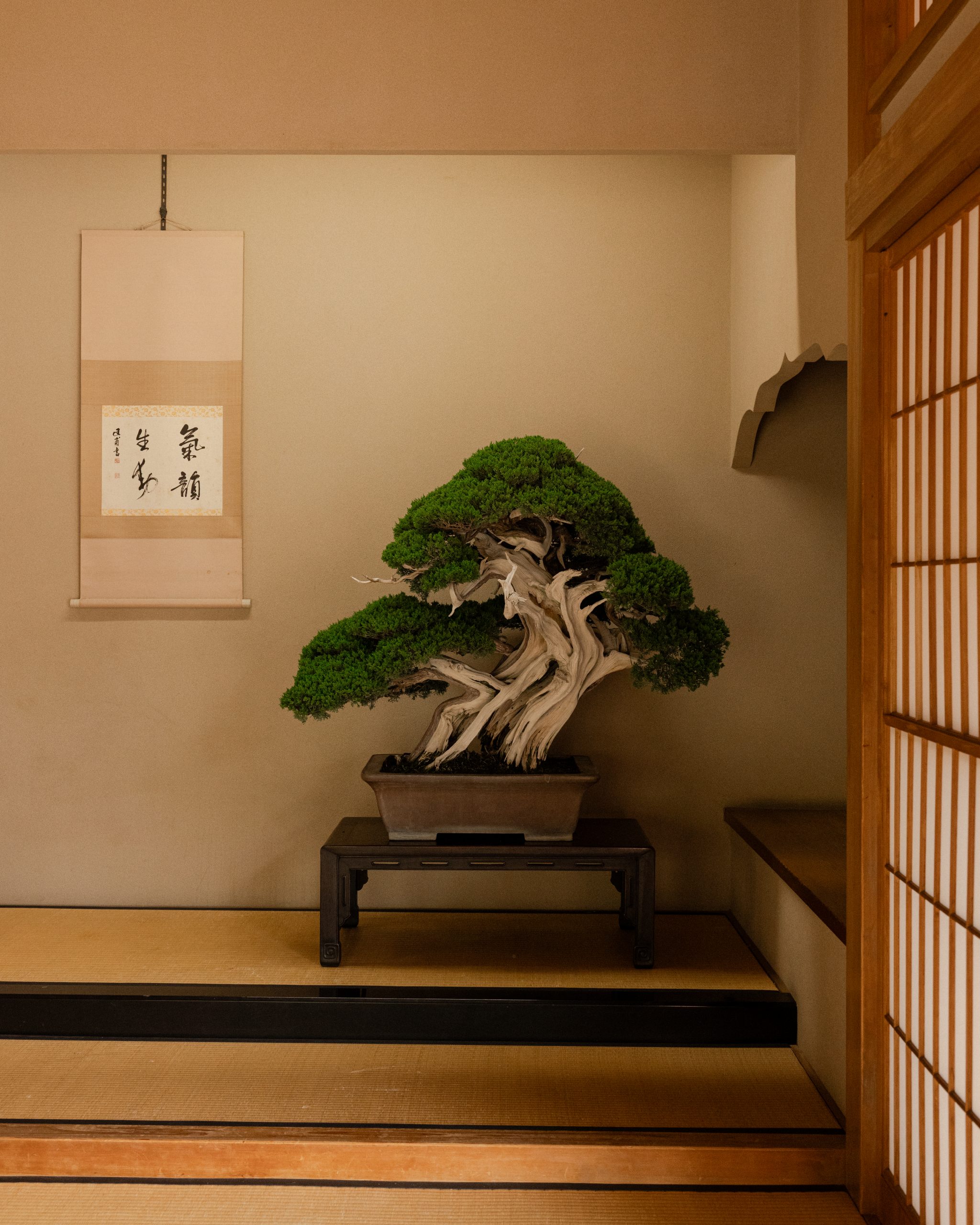 shunkaen-bonsai-museum-8